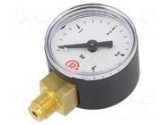 Manometer; 0÷4bar; G 1/8",bottom connection; 40mm; Temp: -20÷60°C PNEUMAT