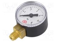 Manometer; 0÷6bar; 40mm; non-aggressive liquids,inert gases PNEUMAT