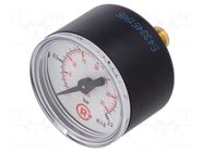 Manometer; 0÷2.5bar; G 1/8",rear connection; 40mm; Temp: -20÷60°C PNEUMAT