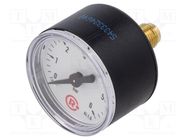 Manometer; 0÷6bar; 40mm; non-aggressive liquids,inert gases PNEUMAT