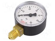Manometer; 0÷60bar; G 1/4",bottom connection; 63mm; plastic PNEUMAT