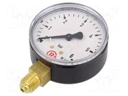 Manometer; 0÷6bar; G 1/4",bottom connection; 63mm; Temp: -20÷60°C PNEUMAT