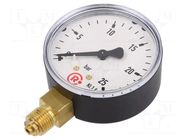 Manometer; 0÷25bar; G 1/4",bottom connection; 63mm; plastic PNEUMAT