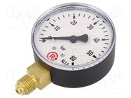 Manometer; 0÷60bar; 63mm; non-aggressive liquids,inert gases PNEUMAT