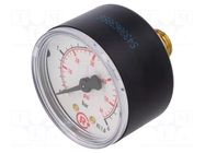 Manometer; 0÷4bar; G 1/4",rear connection; 50mm; Temp: -20÷60°C PNEUMAT