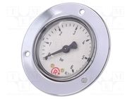 Manometer; 0÷6bar; 50mm; non-aggressive liquids,inert gases PNEUMAT