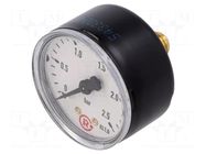 Manometer; 0÷2.5bar; G 1/4",rear connection; 50mm; Temp: -20÷60°C PNEUMAT