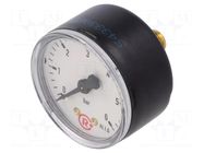 Manometer; 0÷6bar; G 1/4",rear connection; 50mm; Temp: -20÷60°C PNEUMAT