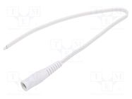 Cable; 2x0.5mm2; wires,DC 5,5/2,1 socket; straight; white; 0.25m WEST POL