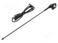 Antenna; car top,automotive; 0.36m; 2.03m 4CARMEDIA