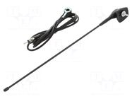 Antenna; car top,automotive; 0.36m; 2.03m 4CARMEDIA