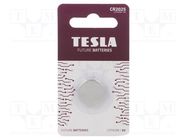 Battery: lithium; CR2025,coin; 3V; non-rechargeable; Ø20x2.5mm TESLA BATTERIES