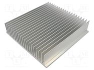 Heatsink: extruded; HS300; natural; L: 254mm; W: 247.65mm; H: 57.91mm 