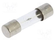 Fuse: fuse; time-lag; 5A; 250VAC; cylindrical,glass; 5x20mm; brass BEL FUSE