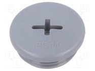 Stopper; PG11; IP68; polyamide; grey; Entrelec; Thread: PG; 6mm TE Connectivity