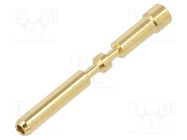 M23 connector M23 P female-c 1mm (0,14–1mm?) Au HARTING