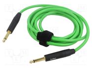 Cable; Jack 6,3mm 2pin plug,both sides; 6m; green; 0.25mm2 TASKER