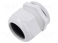 Cable gland; M63; 1.5; polyamide; light grey; SKINTOP® LAPP