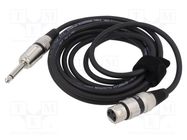 Cable; Jack 6,3mm 2pin plug,XLR female 3pin; 6m; black; 0.25mm2 TASKER