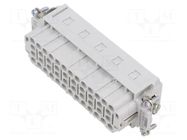 Connector: HDC; contact insert; female; PIN: 24; HEAVYCON; 24+PE PHOENIX CONTACT