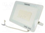 Lamp: LED flood light; 230VAC; 100W; neutral white; 120°; 4000K TOSHIBA LED LIGHTING