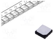 IC: driver/sensor; -40÷125°C; 1.9÷3.6V; DFN6; SMD; Interface: PWM SILICON LABS