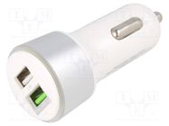 USB power supply; USB A socket x2; white; Uin: 12÷24V SAVIO