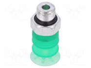 Suction cup; 15mm; G1/8 M; Shore hardness: 55; 1.2cm3; 0.75N; SPB2f SCHMALZ