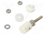 Socket; 4mm banana; 15A; 48VDC; white; nickel plated; on panel CLIFF