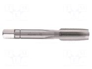 Tap; high speed steel; G 1/8"; Kind of holder: hand ALPEN-MAYKESTAG