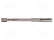 Tap; M8; 1.25; Holder: machine; high speed steel cobalt HSS-Co ALPEN-MAYKESTAG