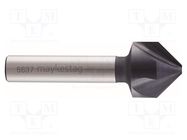 Countersink; cemented carbide; Mounting: rod 10mm; 19.5mm ALPEN-MAYKESTAG