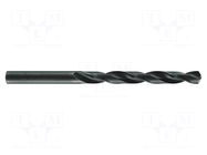 Drill bit; for metal; Ø: 0.5mm; high speed steel; bulk,industrial ALPEN-MAYKESTAG