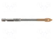 Drill bit; Ø: 3mm; Drill Bit: for glass; Holder: E6,3mm; 1/4"; 6.3mm ALPEN-MAYKESTAG