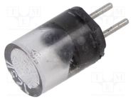 Fuse: fuse; ultra rapid; 500mA; 125VAC; 125VDC; TR3 LITTELFUSE