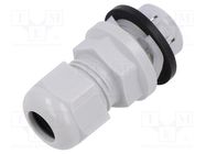 Cable gland; M20; IP68; polyamide; light grey; push-in; Entrelec TE Connectivity