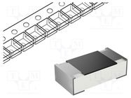 Resistor: thick film; 0603; 16.5Ω; 100mW; ±1%; 100ppm/°C PANASONIC