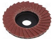 Flap grinding wheels; 50mm; Granularity: 100 PROXXON