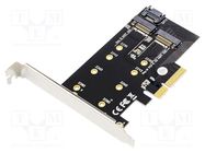 PC extension card: PCIe; M.2 (B key),M.2 (M key); 6Gbps DIGITUS