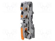 Splice terminal: rail; 0.5÷16mm2; ways: 1; terminals: 3; grey; 2110 WAGO