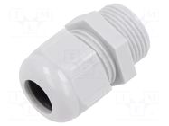 Cable gland; without nut; PG16; IP68; polyamide; light grey TE Connectivity