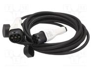 Cable: eMobility; 1x0.75mm2,3x6mm2; 230V; 7.4kW; IP55; 10m; 32A DIGITUS