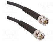 Cable; BNC male,both sides; straight; 0.5m; 75Ω AMPHENOL RF