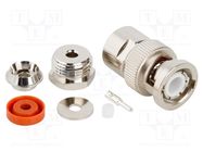 Connector: BNC; plug; male; straight; 50Ω; soldering,clamp; PTFE AMPHENOL RF