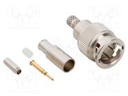 Connector: Mini BNC; plug; male; straight; 75Ω; soldering,crimped AMPHENOL RF