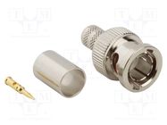 Connector: BNC; plug; male; straight; 75Ω; RG6; crimped; for cable AMPHENOL RF