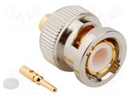 Connector: BNC; plug; male; straight; 50Ω; soldering; for cable AMPHENOL RF