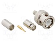 Connector: BNC; plug; male; straight; 50Ω; crimped; for cable; TPX AMPHENOL RF