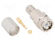 Connector: TNC; plug; male; straight; 50Ω; crimped; for cable; PTFE AMPHENOL RF