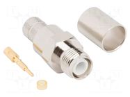 Connector: RP-TNC; plug; male,reverse; straight; 50Ω; for cable AMPHENOL RF